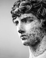 Antinous, Alive — The Delphi Portrait